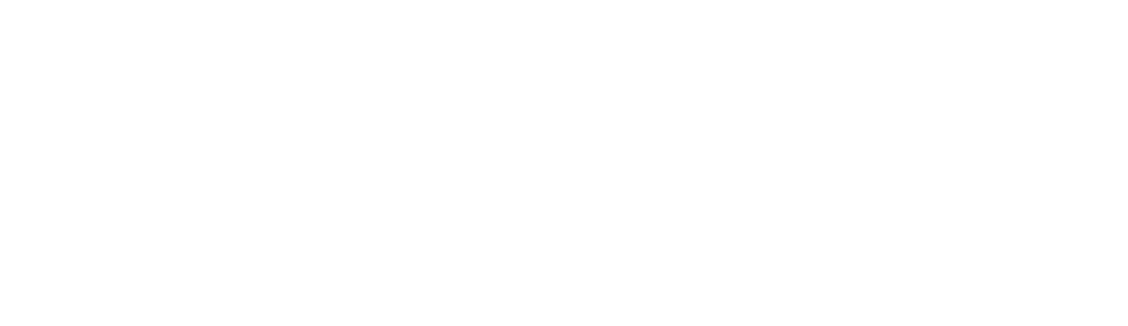 Origin Acoustics logo