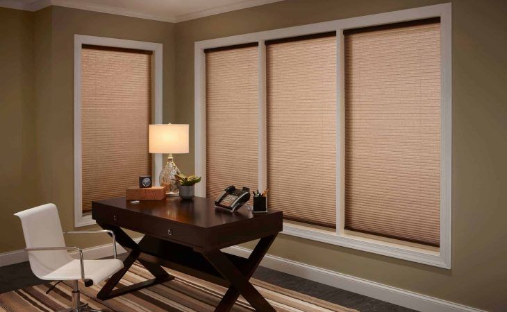Lutron Shades