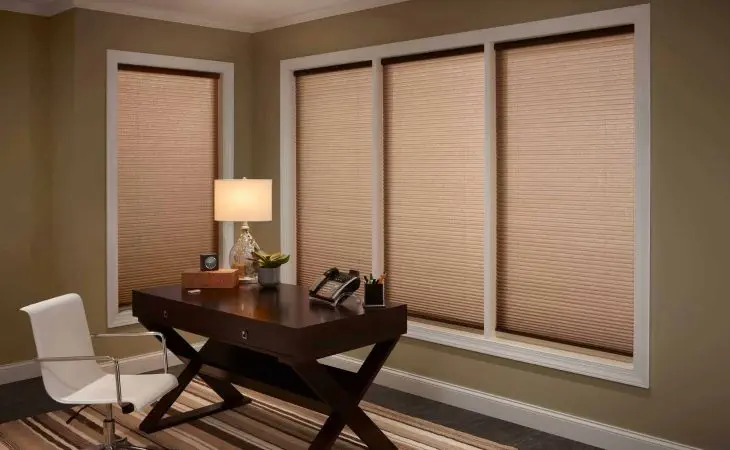Lutron Shades